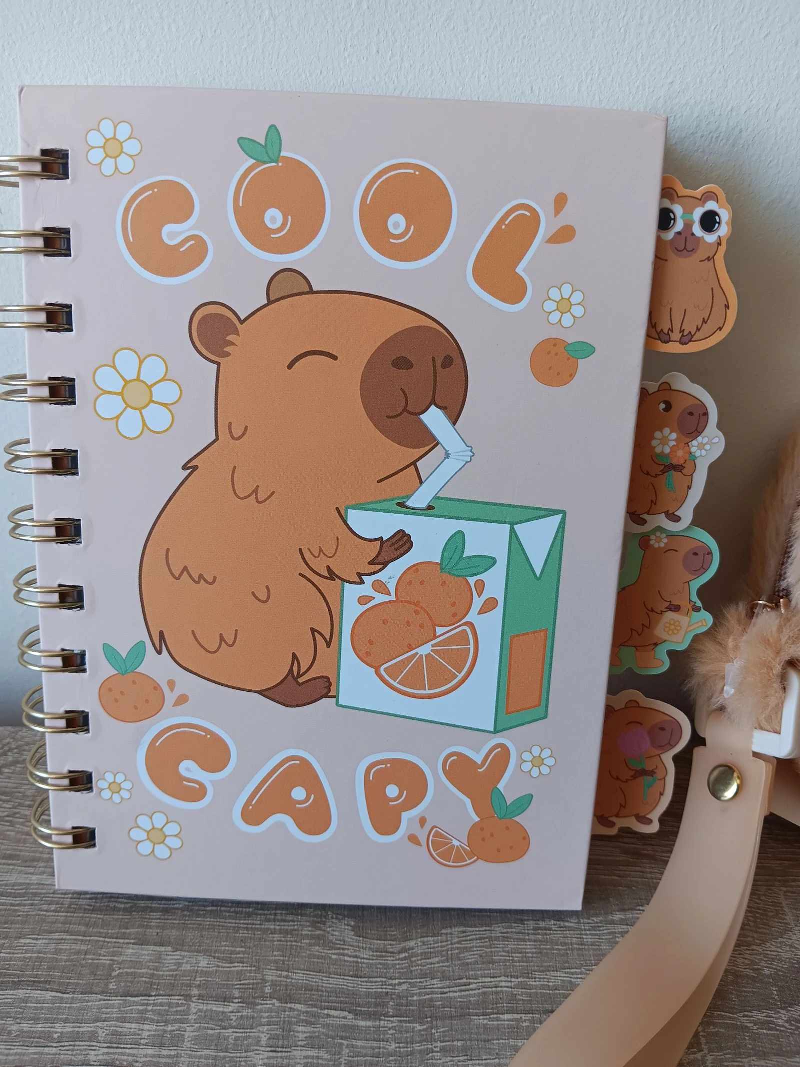Kit Nuevo Capibara, Libreta Nueva de Capibara A6 80 y bolso de peluche con pegatinas y libreta pequeña – photo 3